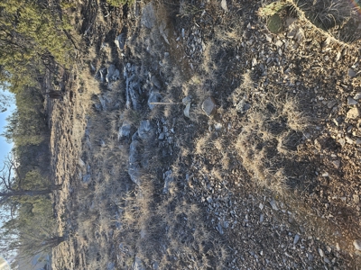 Unique Mountain and Desert Terrain - image 17
