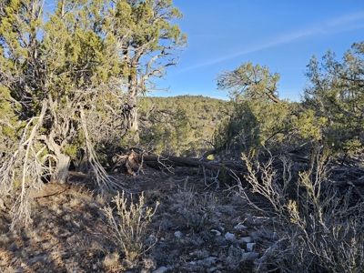 Unique Mountain and Desert Terrain - image 19