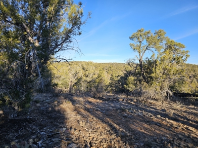 Unique Mountain and Desert Terrain - image 7