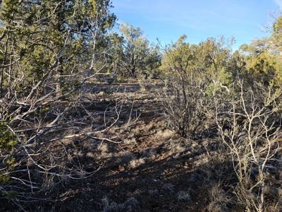 Unique Mountain and Desert Terrain - image 8
