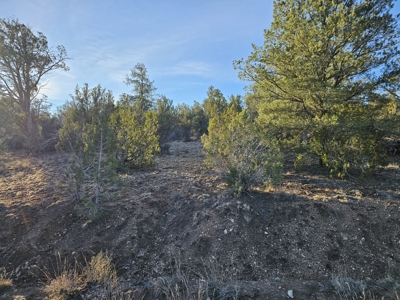 Unique Mountain and Desert Terrain - image 1