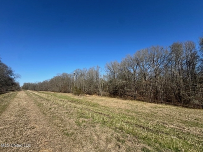 Tensas Riverfront Hunting Land Concordia Parish, LA - image 17