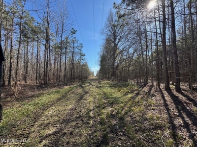 Tensas Riverfront Hunting Land Concordia Parish, LA - image 20