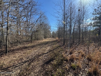 Tensas Riverfront Hunting Land Concordia Parish, LA - image 32