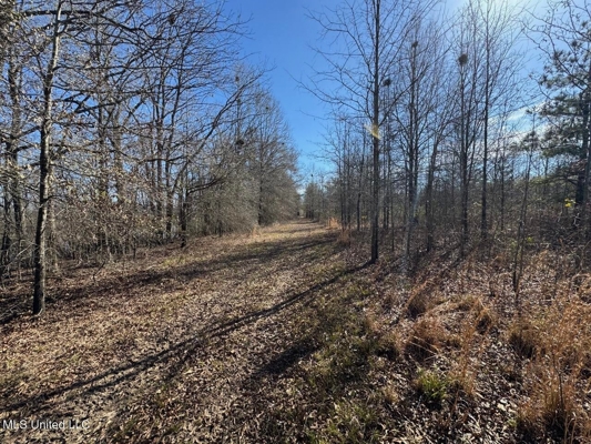 Tensas Riverfront Hunting Land Concordia Parish, LA