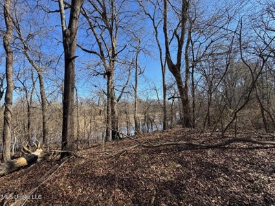 Tensas Riverfront Hunting Land Concordia Parish, LA - image 40