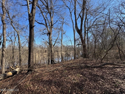 Tensas Riverfront Hunting Land Concordia Parish, LA