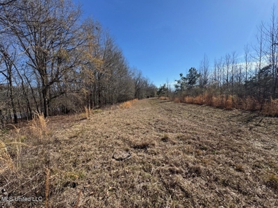Tensas Riverfront Hunting Land Concordia Parish, LA - image 26