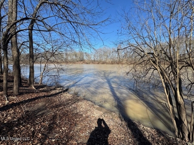 Tensas Riverfront Hunting Land Concordia Parish, LA - image 25