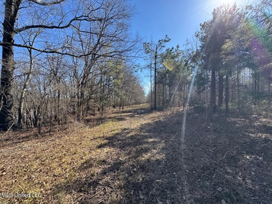 Tensas Riverfront Hunting Land Concordia Parish, LA