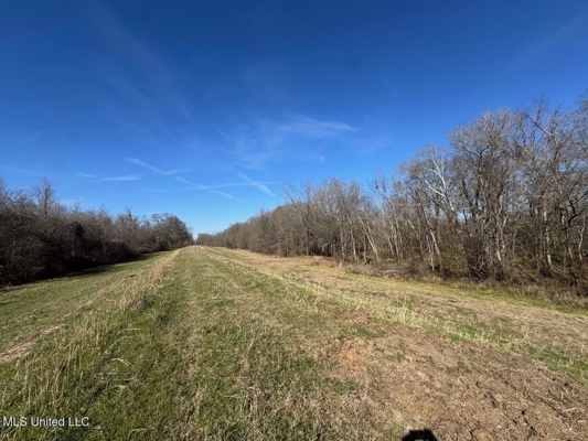 Tensas Riverfront Hunting Land Concordia Parish, LA
