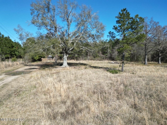 Tensas Riverfront Hunting Land Concordia Parish, LA