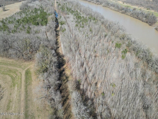 Tensas Riverfront Hunting Land Concordia Parish, LA