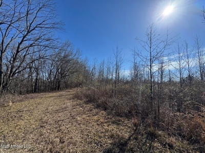 Tensas Riverfront Hunting Land Concordia Parish, LA - image 30