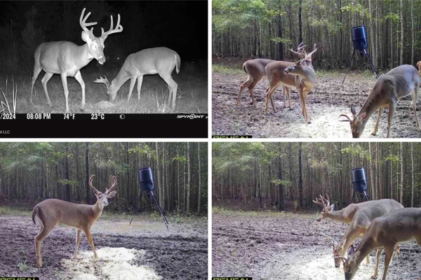 Tensas Riverfront Hunting Land Concordia Parish, LA