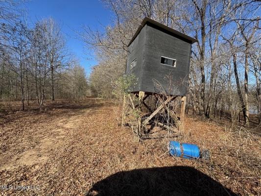 Tensas Riverfront Hunting Land Concordia Parish, LA