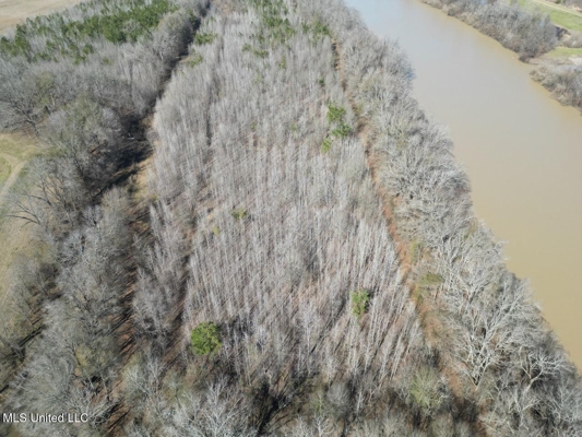 Tensas Riverfront Hunting Land Concordia Parish, LA
