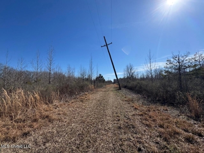 Tensas Riverfront Hunting Land Concordia Parish, LA - image 23