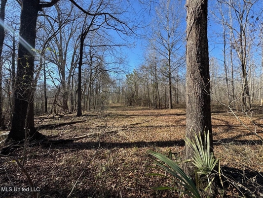 Tensas Riverfront Hunting Land Concordia Parish, LA