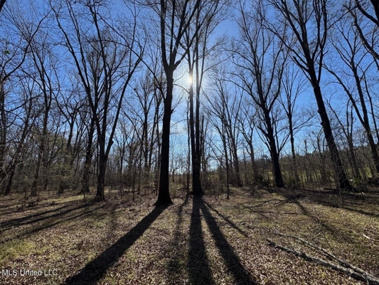 Tensas Riverfront Hunting Land Concordia Parish, LA