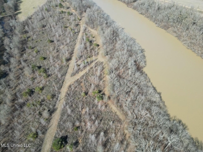 Tensas Riverfront Hunting Land Concordia Parish, LA - image 9