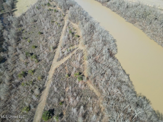 Tensas Riverfront Hunting Land Concordia Parish, LA