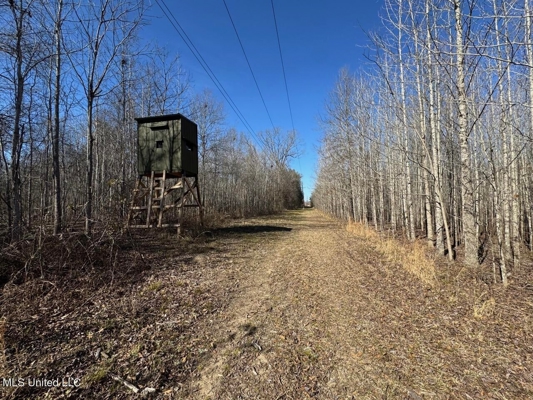 Tensas Riverfront Hunting Land Concordia Parish, LA