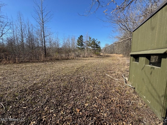 Tensas Riverfront Hunting Land Concordia Parish, LA