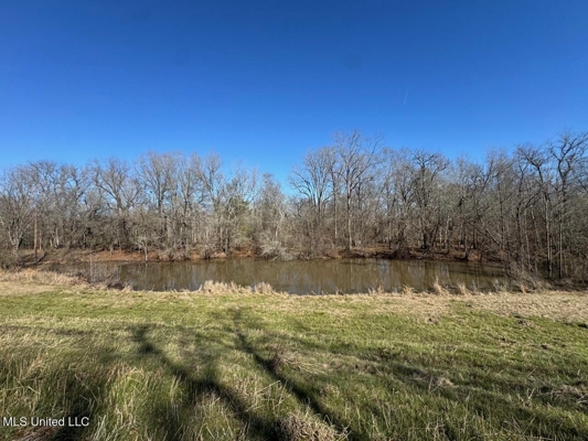 Tensas Riverfront Hunting Land Concordia Parish, LA