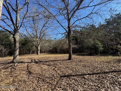 Tensas Riverfront Hunting Land Concordia Parish, LA - image 15