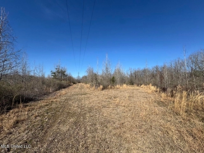 Tensas Riverfront Hunting Land Concordia Parish, LA - image 22