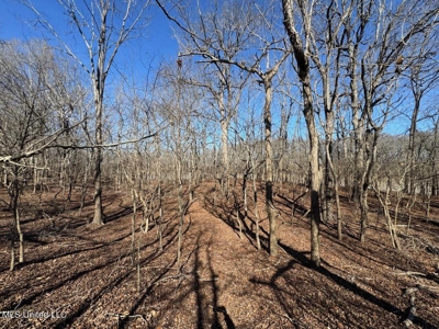 Tensas Riverfront Hunting Land Concordia Parish, LA - image 27