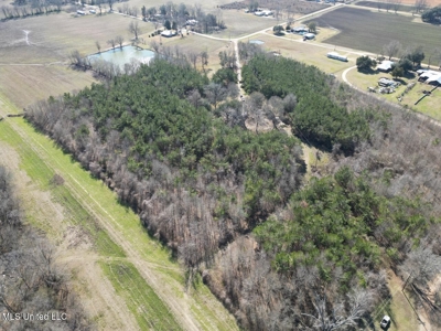 Tensas Riverfront Hunting Land Concordia Parish, LA - image 11