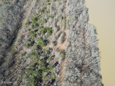 Tensas Riverfront Hunting Land Concordia Parish, LA - image 7