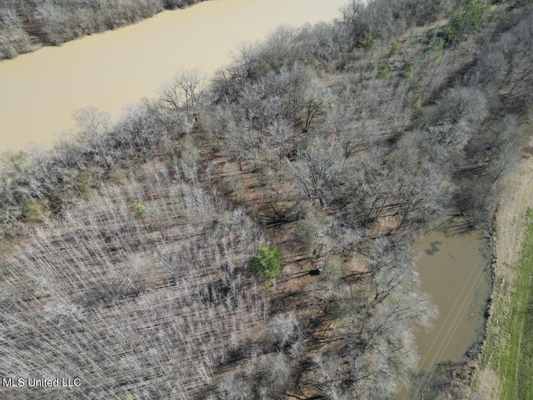Tensas Riverfront Hunting Land Concordia Parish, LA