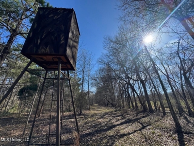 Tensas Riverfront Hunting Land Concordia Parish, LA - image 43