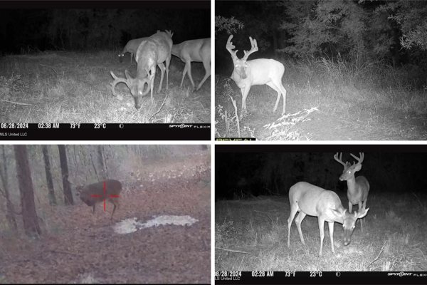 Tensas Riverfront Hunting Land Concordia Parish, LA