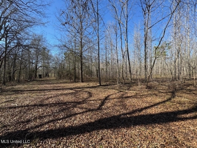 Tensas Riverfront Hunting Land Concordia Parish, LA - image 38