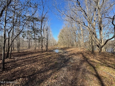 Tensas Riverfront Hunting Land Concordia Parish, LA - image 39