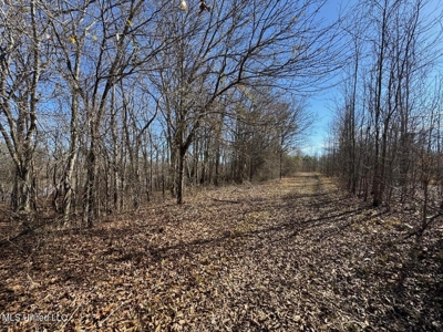 Tensas Riverfront Hunting Land Concordia Parish, LA - image 31
