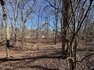 Tensas Riverfront Hunting Land Concordia Parish, LA - image 28