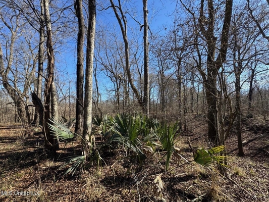 Tensas Riverfront Hunting Land Concordia Parish, LA