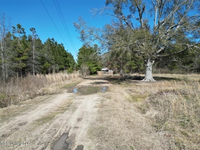 Tensas Riverfront Hunting Land Concordia Parish, LA - image 13