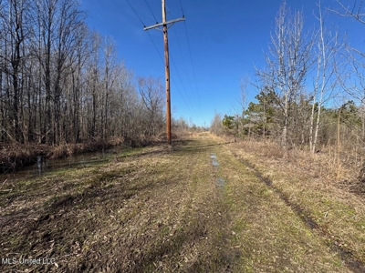 Tensas Riverfront Hunting Land Concordia Parish, LA - image 21