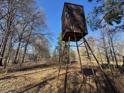 Tensas Riverfront Hunting Land Concordia Parish, LA - image 42