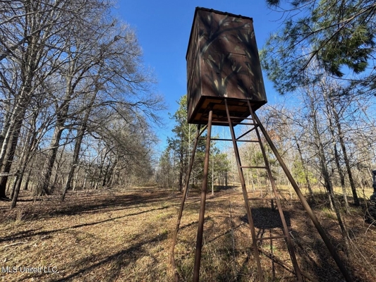 Tensas Riverfront Hunting Land Concordia Parish, LA