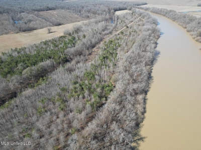 Tensas Riverfront Hunting Land Concordia Parish, LA - image 6