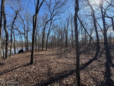 Tensas Riverfront Hunting Land Concordia Parish, LA - image 24