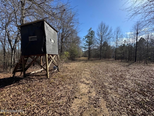 Tensas Riverfront Hunting Land Concordia Parish, LA