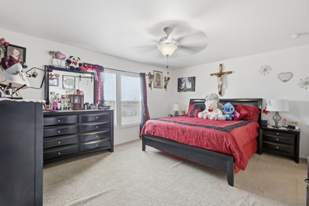 Spacious Country Property for Sale in Las Cruces, NM - image 11